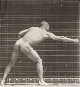 Plate 344 Striking a blow with right hand — figure reference